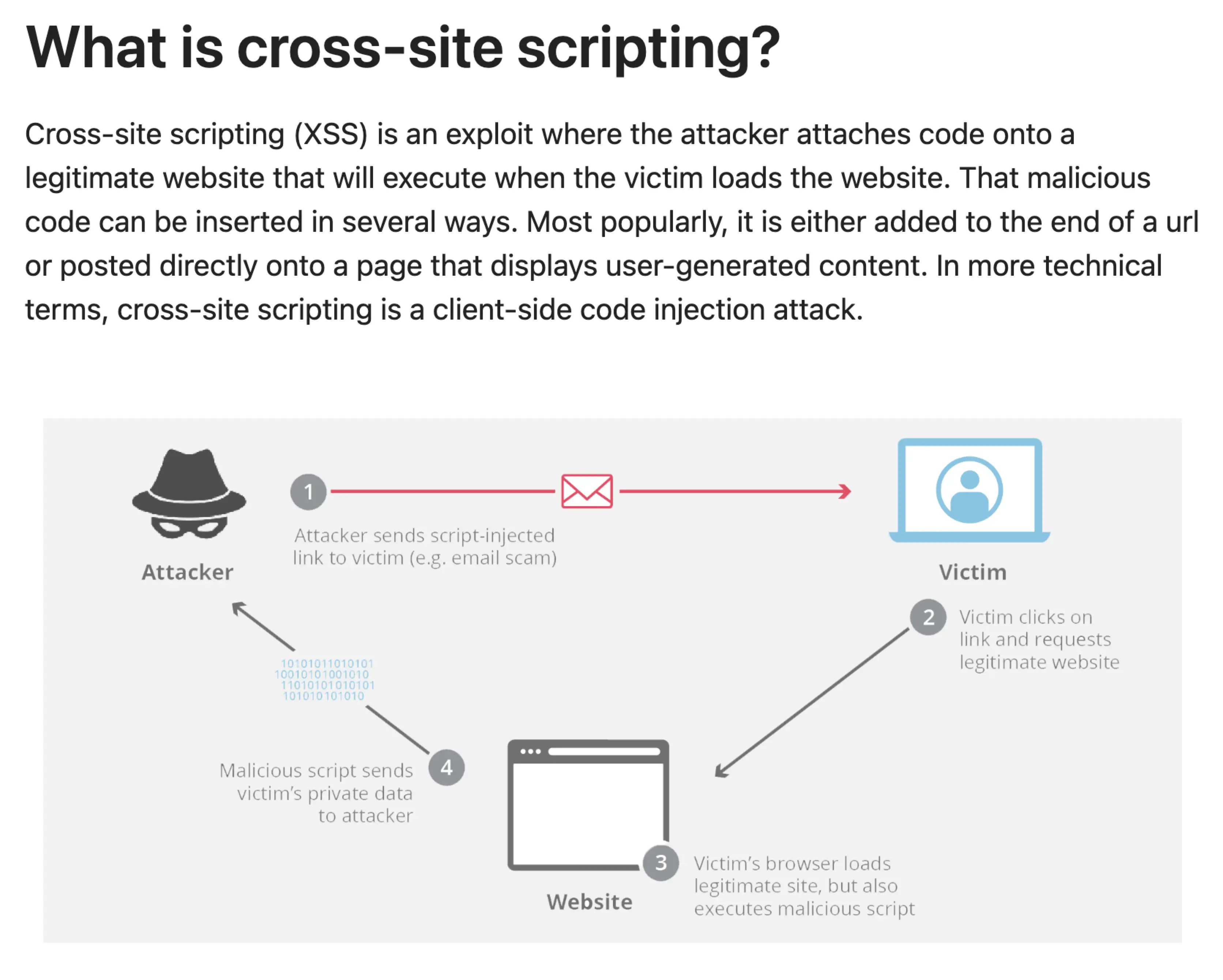 What is XSS