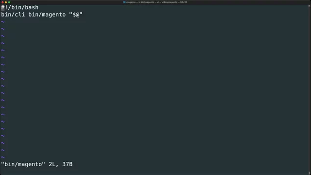 Execute bin/magento and Composer within Docker containers
