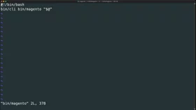 Execute bin/magento and Composer within Docker containers