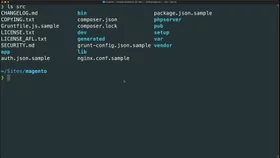 Increase the Nginx request timeout in nginx.conf for Docker