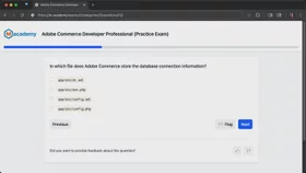 Developer Professional BRAIN in action, example 1