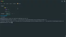 Run Grunt commands in Magento with Docker