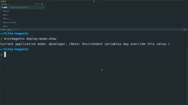Enabling developer mode