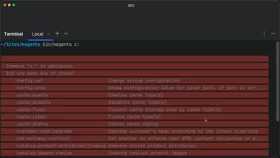 Execute CLI commands in Magento