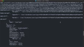Inspect container details in Docker