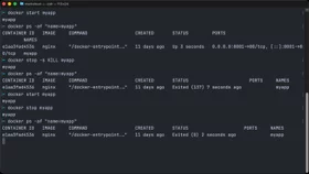 Stop a container with a signal in Docker