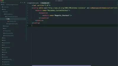 Create the skeleton of a custom checkout module