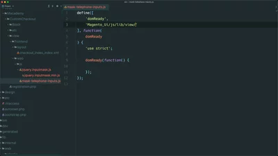 Add a custom input mask to a checkout field