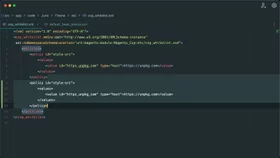 Include an external JavaScript file with XML in Magento